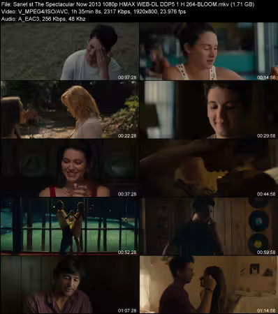 The Spectacular Now 2013 1080p HMAX WEB-DL DDP 5.1 H264-BLOOM