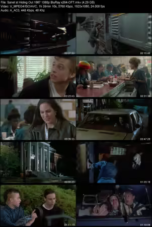 Hiding Out 1987 1080p BluRay x264-OFT
