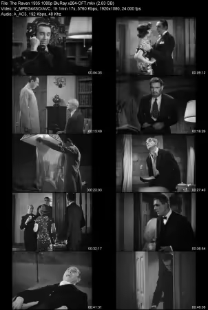 The Raven 1935 1080p BluRay x264-OFT