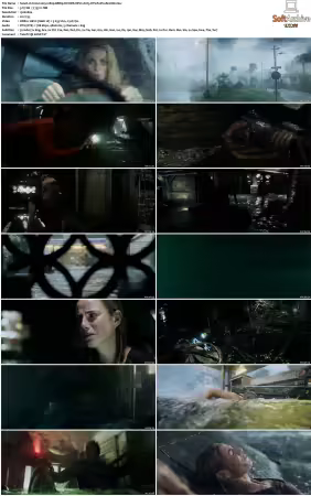Crawl 2019 1080p BRRip DV HDR HEVC X265 DTS-PoPCoRnUHD