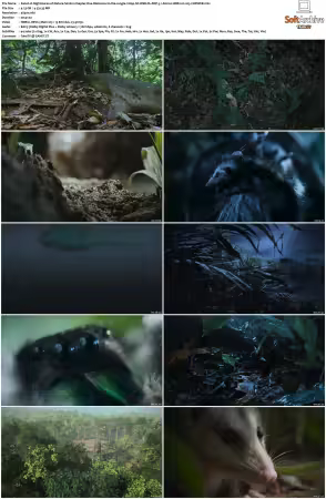 Nightmares of Nature 2025 S02 2160p NF WEB-DL DDP 5 1 Atmos HDR10 H265-CHDWEB