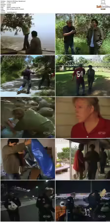 Im With Busey S01 XviD-NOGRP
