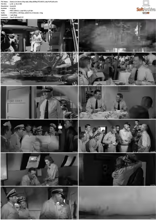 In Harms Way 1965 1080p BDRip DTS HEVC x265-PoPCoRn