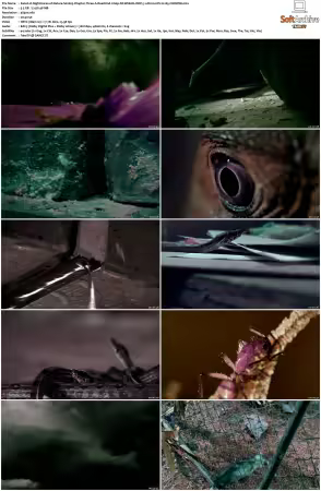 Nightmares of Nature 2025 S02 2160p NF WEB-DL DDP 5 1 Atmos DV H265-CHDWEB