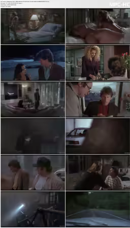 Shattered 1991 1080p BluRay DTS HD MA 2.0 AVC REMUX-NBM8