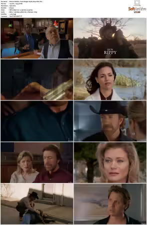 Walker Texas Ranger 1993 S01-S09 1080p WEB-DL H265 10bit DDP2.0-Zero00