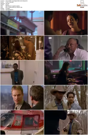Walker Texas Ranger 1993 S01-S09 1080p WEB-DL H265 10bit DDP2.0-Zero00