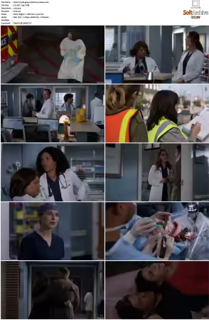Greys Anatomy S16 DVDRip x264-PFa