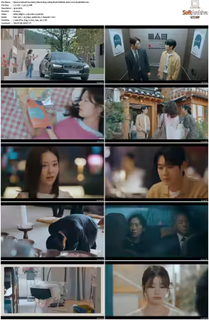 Would You Marry Me S01 1080p DSNP WEB-DL AAC2.0 H264-BiOMA