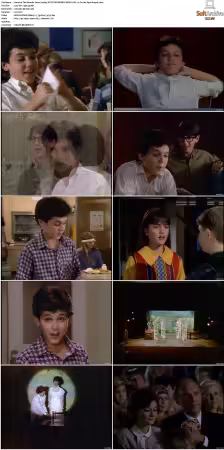 The Wonder Years S01 S06 NTSC DVD REMUX MPEG2 DD 2 0 Homecoming-Rmp4L