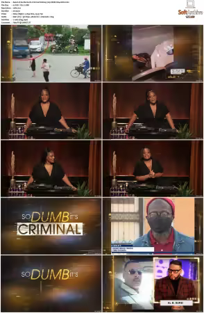 So Dumb Its Criminal S01 720p WEB h264-KOGi