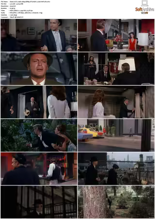 P.J. 1967 1080p BDRip DTS HEVC x265-PoPCoRn