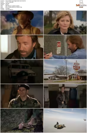 Walker Texas Ranger 1993 S01-S09 1080p WEB-DL H265 10bit DDP2.0-Zero00