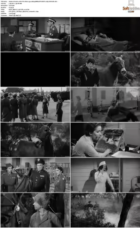 Francis Joins The Wacs 1954 1080p BDRip DTS HEVC x265-PoPCoRn