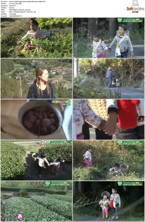 Old Enough S01 1080p Web DDP2.0 h264-JoeBee