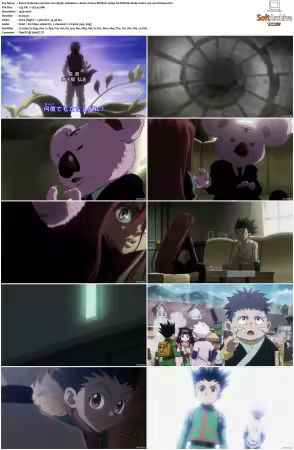 Hunter x Hunter 2011 S03 REPACK 1080p CR WEB-DL DUAL FLAC2 0 H 264-Kitsune