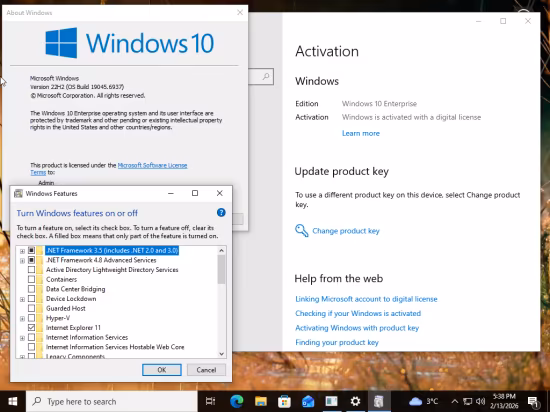 Windows 10 Enterprise/Iot Enterprise 22H2 build 19045.6937 Preactivated Multilingual February 2026