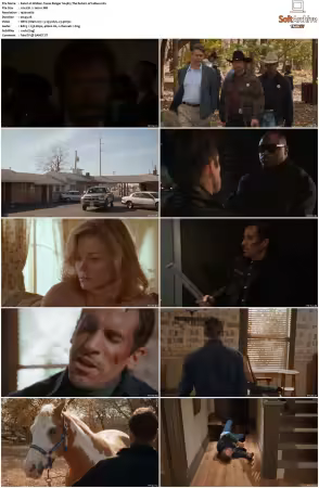 Walker Texas Ranger 1993 S01-S09 1080p WEB-DL H265 10bit DDP2.0-Zero00