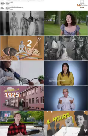 History by the Numbers S01 1080p CUR WEB-DL AAC2.0 H264-BLOOM