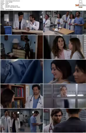 Greys Anatomy S16 DVDRip x264-PFa