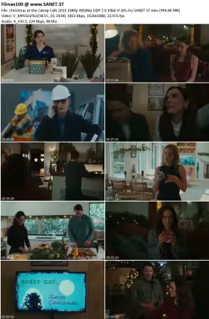 Christmas at the Catnip Cafe 2025 1080p WEBRip DDP 2.0 10bit H 265-iVy