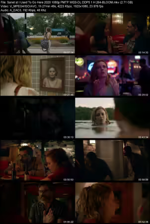 I Used To Go Here 2020 1080p PMTP WEB-DL DDP 5.1 H264-BLOOM