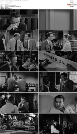Lonelyhearts 1958 1080p BDRip DTS HEVC x265-PoPCoRn
