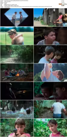 Stand by Me 1986 1080p BRRip DV HDR HEVC X265 DTS-PoPCoRnUHD