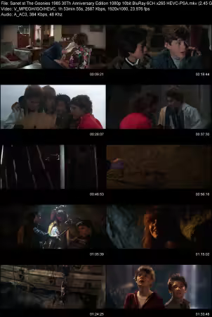 The Goonies 1985 30Th Anniversary Edition 1080p 10bit BluRay 6CH x265 HEVC-PSA