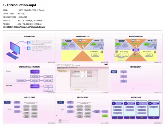 SAP FSCM Collections Management End User Business Process
