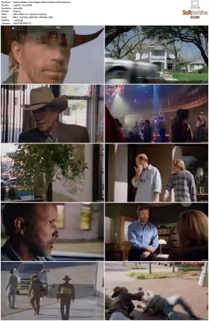 Walker Texas Ranger 1993 S01-S09 1080p WEB-DL H265 10bit DDP2.0-Zero00