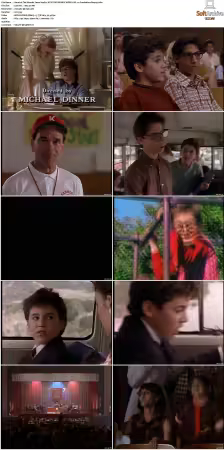 The Wonder Years S01-S06 NTSC DVD REMUX MPEG2 DD 2.0 Homecoming-Rmp4L