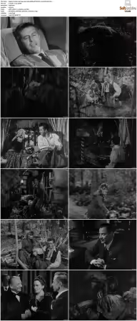 Golden Earrings 1947 1080p BDRip DTS HEVC x265-PoPCoRn