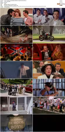Cry-Baby 1990 1080p BRRip DV HDR HEVC X265 DTS-PoPCoRnUHD