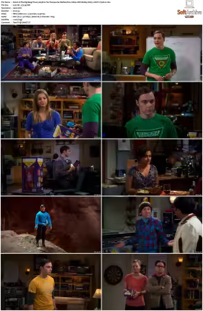 The Big Bang Theory 2007 Season 5 S05 1080p BluRay x265 HEVC 10bit AAC 5.1 Vyndros