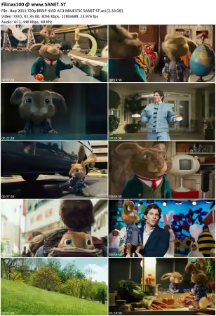 Hop 2011 720p BRRiP XViD AC3-MAJESTiC
