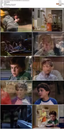 The Wonder Years S01 S06 NTSC DVD REMUX MPEG2 DD 2 0 Homecoming-Rmp4L