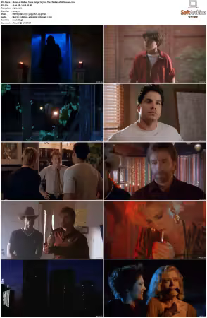 Walker Texas Ranger 1993 S01-S09 1080p WEB-DL H265 10bit DDP2.0-Zero00