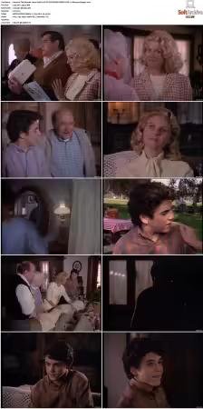 The Wonder Years S01-S06 NTSC DVD REMUX MPEG2 DD 2.0 Homecoming-Rmp4L