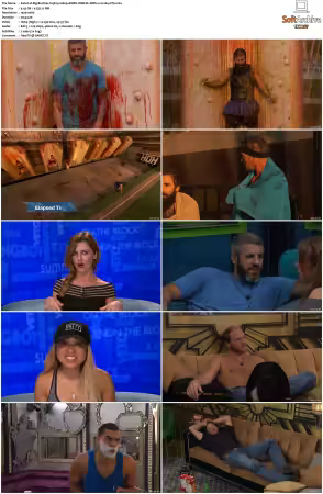 Big Brother US S19 1080p AMZN WEB-DL DDP2.0 H264-NTb