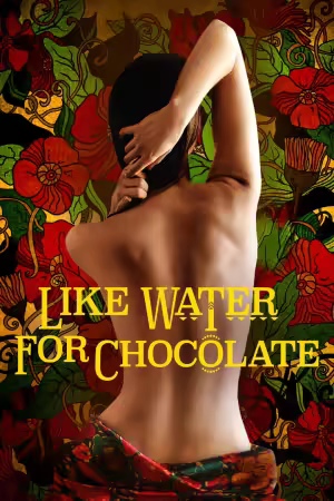 Like Water For Chocolate 1992 1080p PMTP WEB-DL AAC 2.0 H264-BLOOM