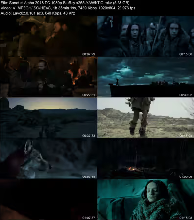 Alpha 2018 DC 1080p BluRay x265-YAWNTiC