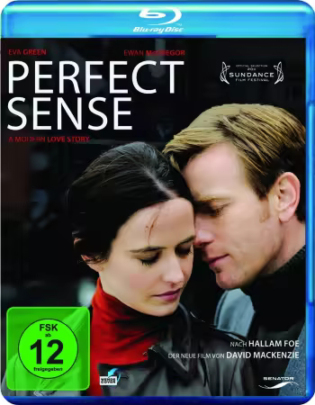 Perfect Sense 2011 BRRip 1080p DD5 1 H265-d3g