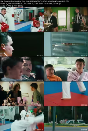 The Foot Fist Way 2006 1080p WEB-DL HEVC x265 BONE