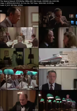 Network 1976 BluRay 1080p x265 10bit 2Audio -SSDSSE