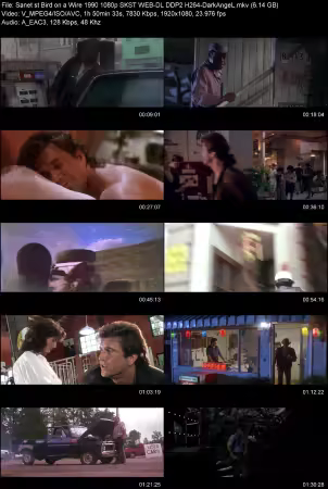Bird on a Wire 1990 1080p SKST WEB-DL DDP2 H264-DarkAngeL