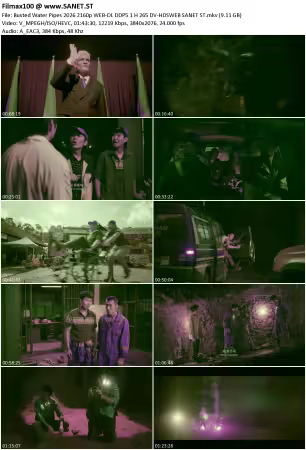 Busted Water Pipes 2026 2160p WEB-DL DDP5.1 H265 DV-HDSWEB