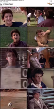 The Wonder Years S01-S06 NTSC DVD REMUX MPEG2 DD 2.0 Homecoming-Rmp4L