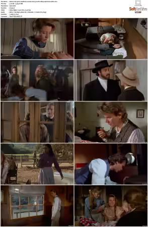 Dr Quinn Medicine Woman S01 MULTi 1080p WEB H264-UKDTV
