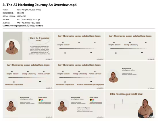 AI in Marketing: Practical Playbook and Toolkit